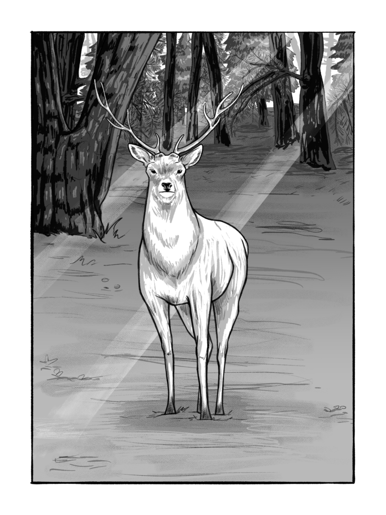 A white deer stands in the middle of the clearing. Beams of sunlight filter through the trees onto it.